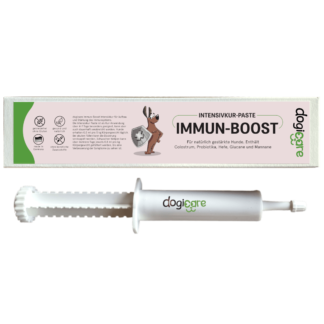 Immun-Boost Intensivkur-Paste
