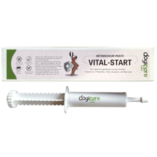 Vital-Start Intensivkur-Paste