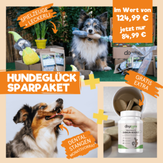 Hundeglück-Sparpaket Angebot